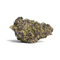 PURPLE HAZE